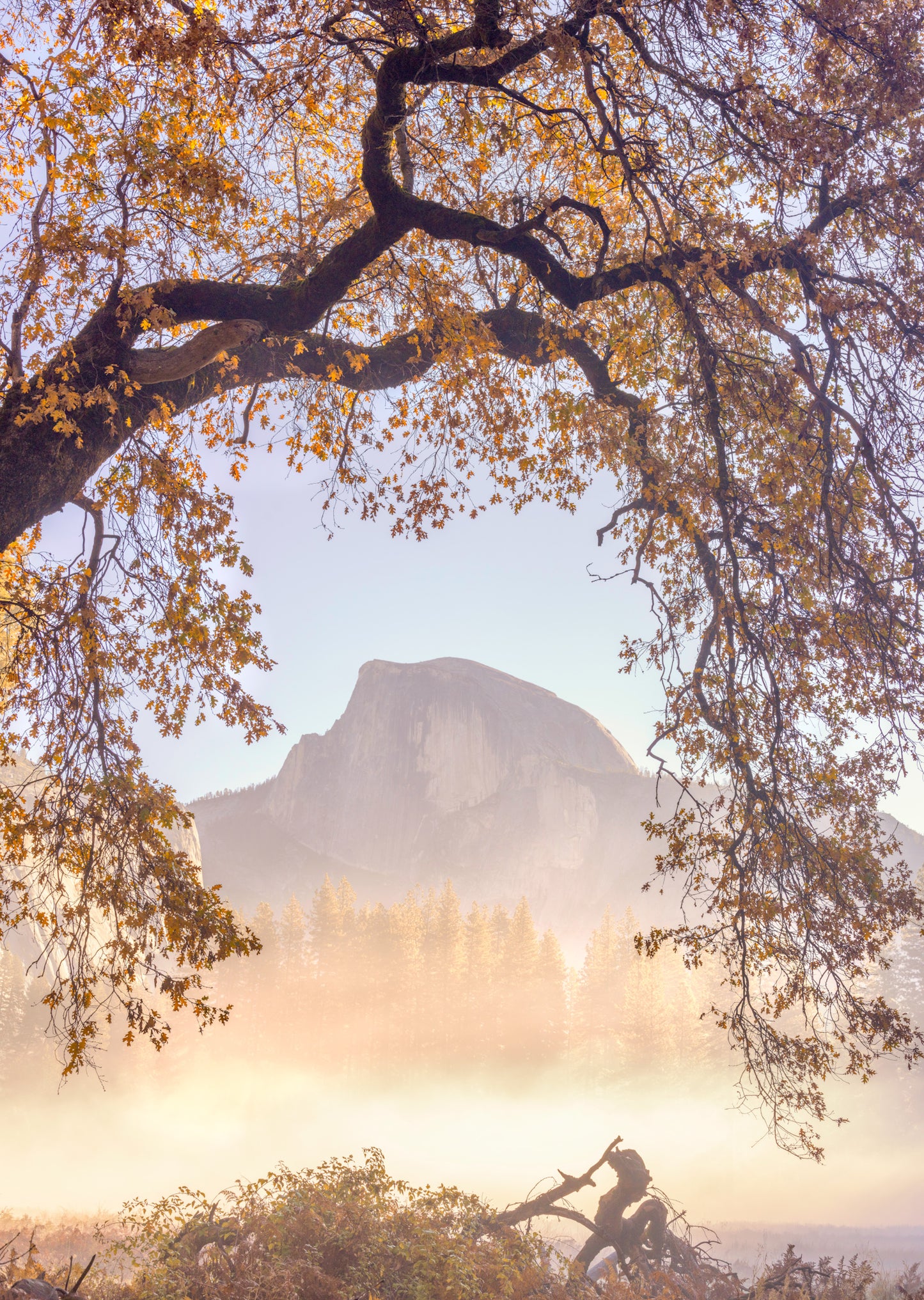 Yosemite Beauty 17