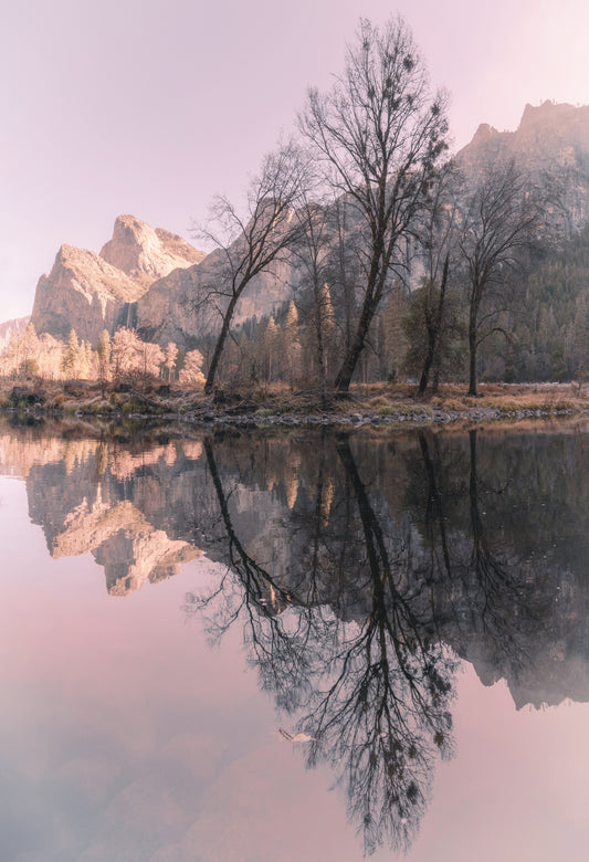 Yosemite Beauty 6