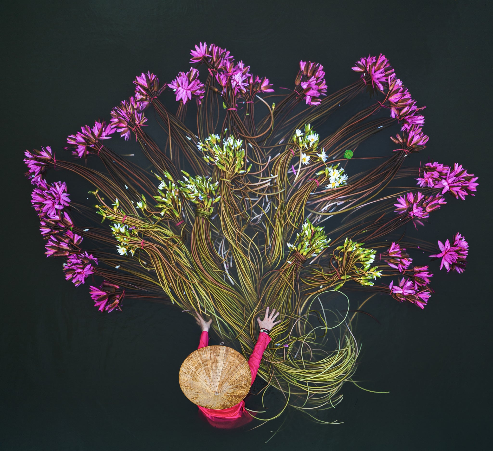 Pham Huy Trung Art Photography Drone Artworks Trung Pham Photos