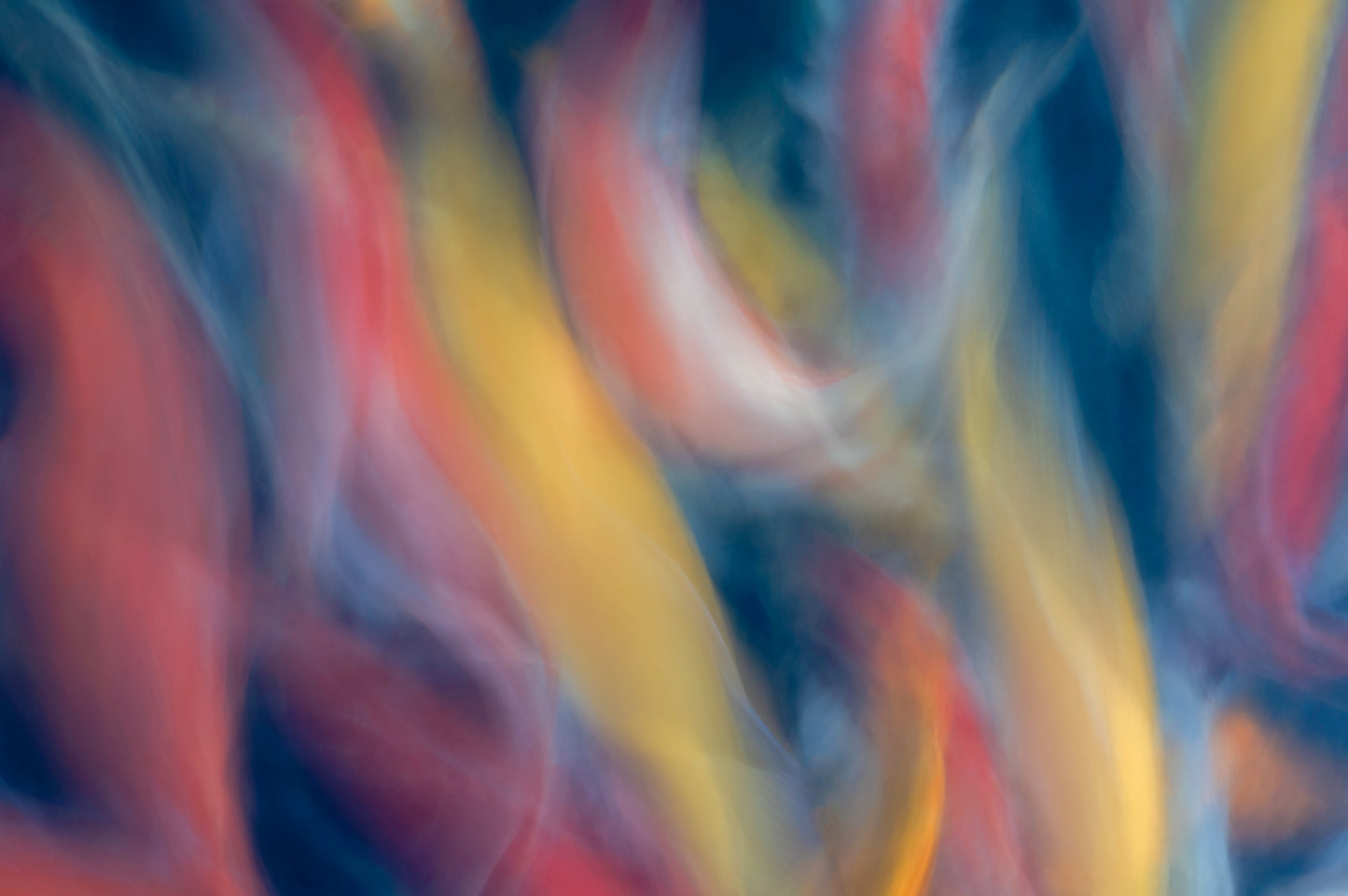 Colors dance