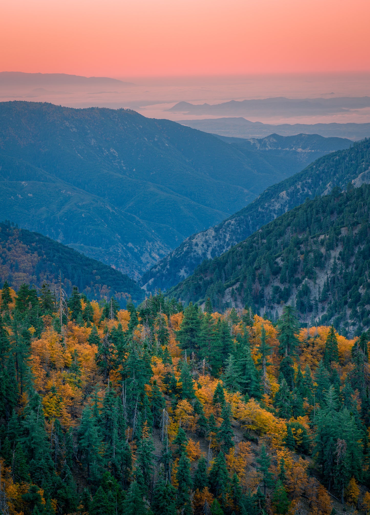 Autumn Vibes 6