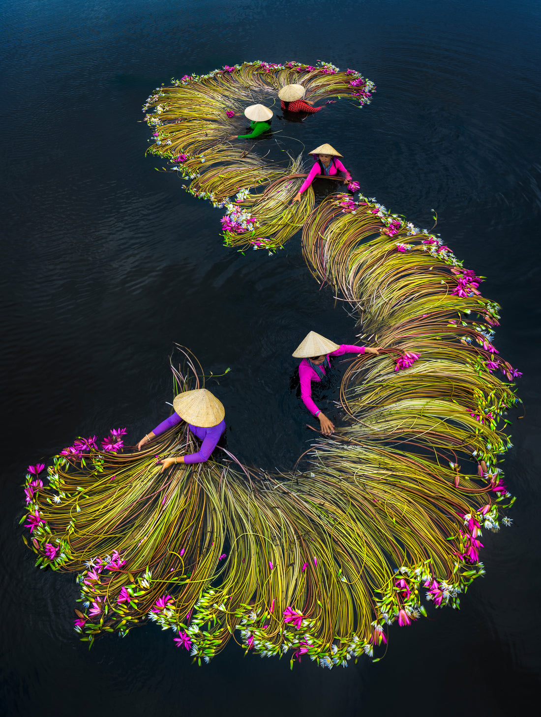 15 stunning aerial photos that highlight the lush landscape of Vietnam