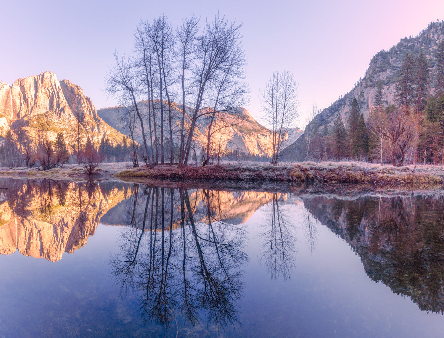 Yosemite Beauty