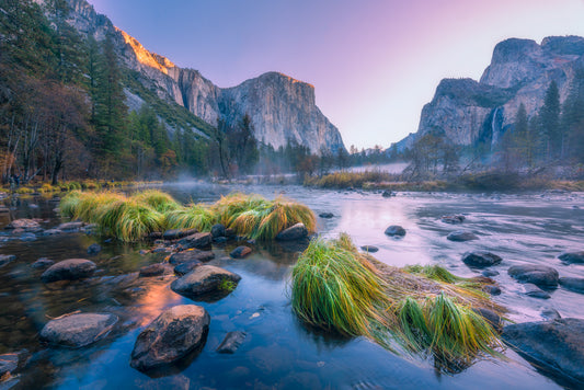 Yosemite Beauty 4