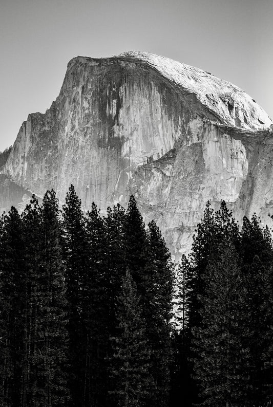 Yosemite Beauty 5