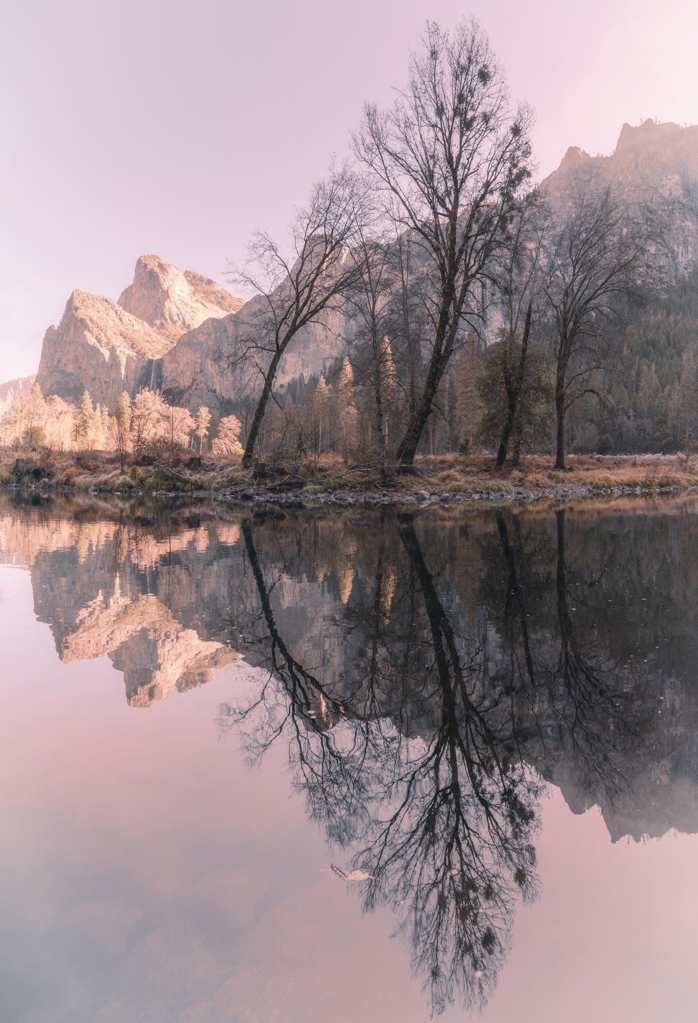 Yosemite Beauty 6