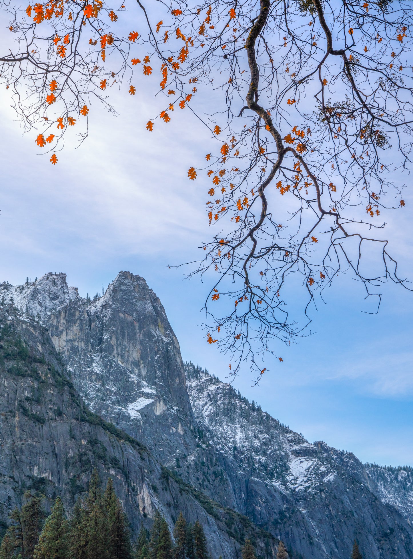 Yosemite Beauty 9