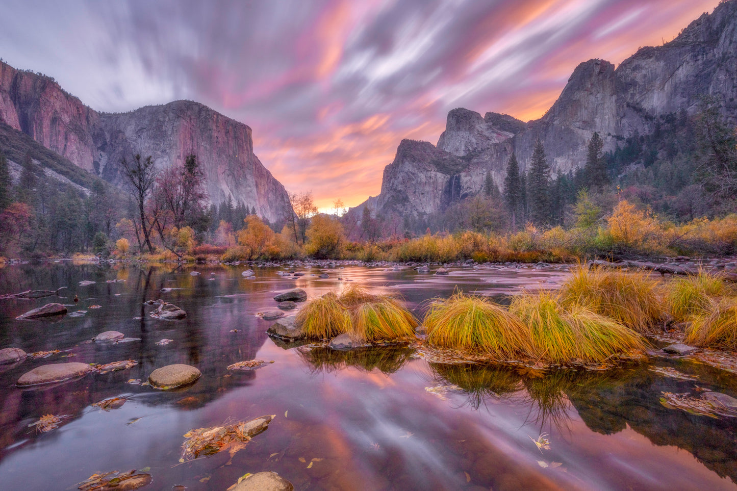 Yosemite Beauty 12