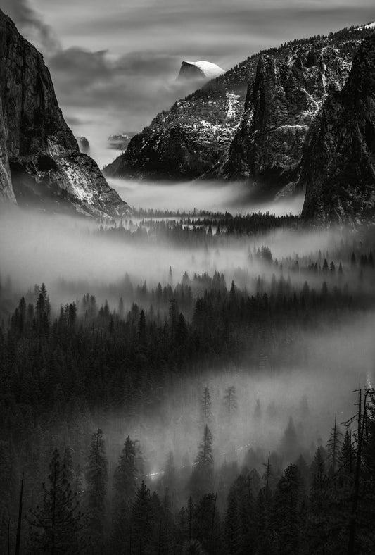 Yosemite Beauty 8