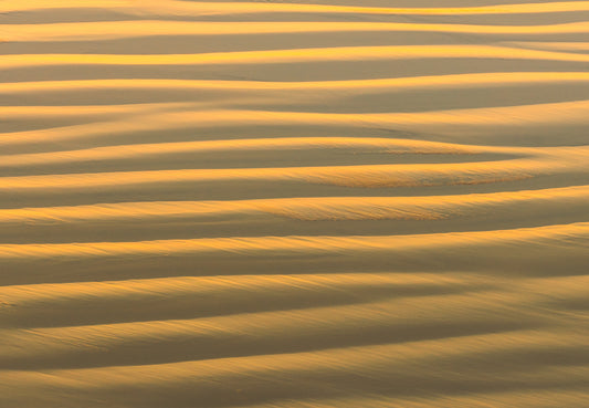 Sand Waves 1